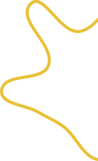 layer-1.png
